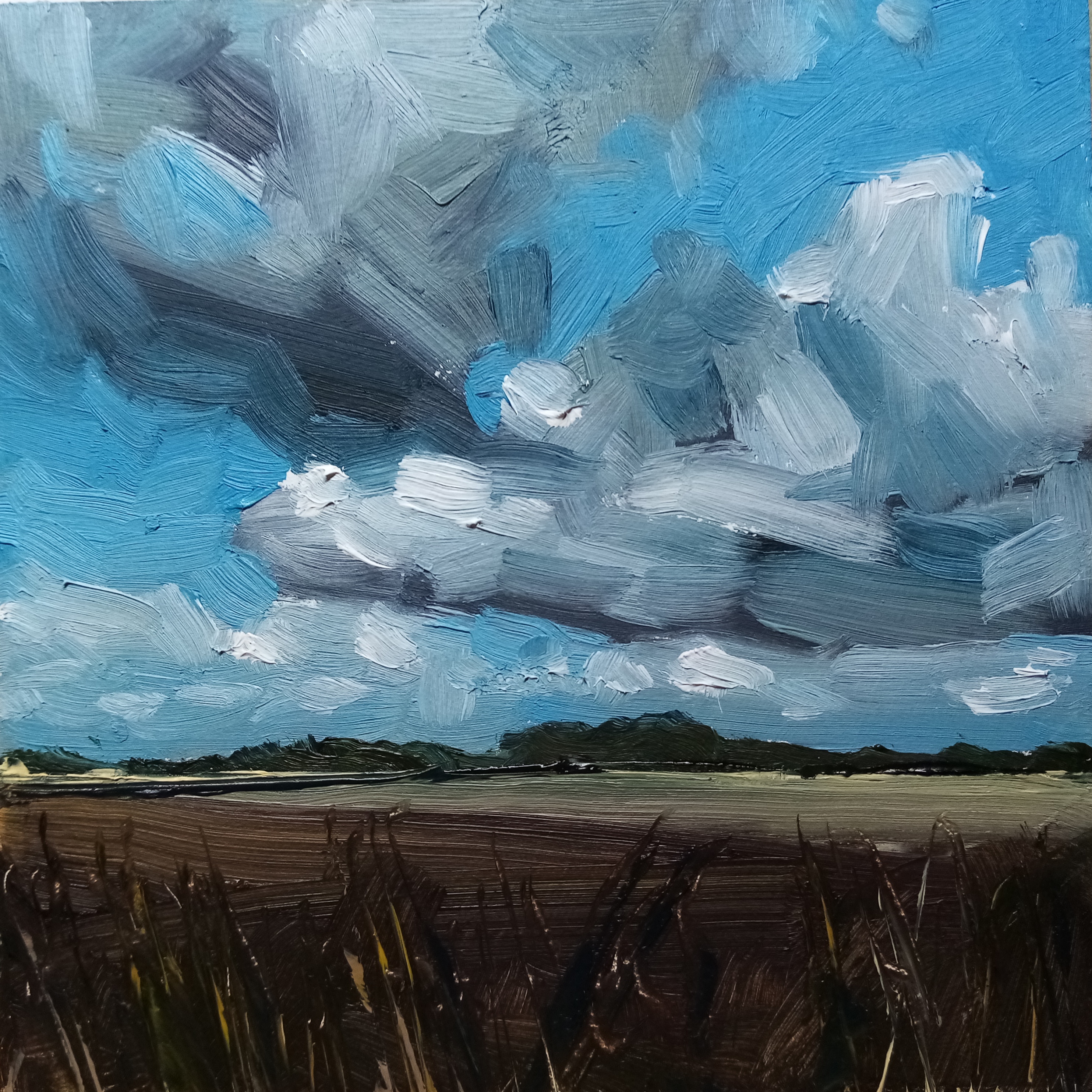 Across the Fields — oil on panel, big blue sky with grey clouds over a harvested field with foreground grasses