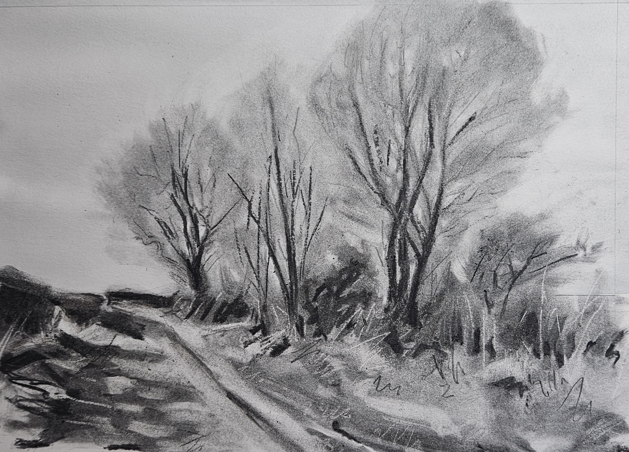 Charcoal drawing of bare winter trees along a path