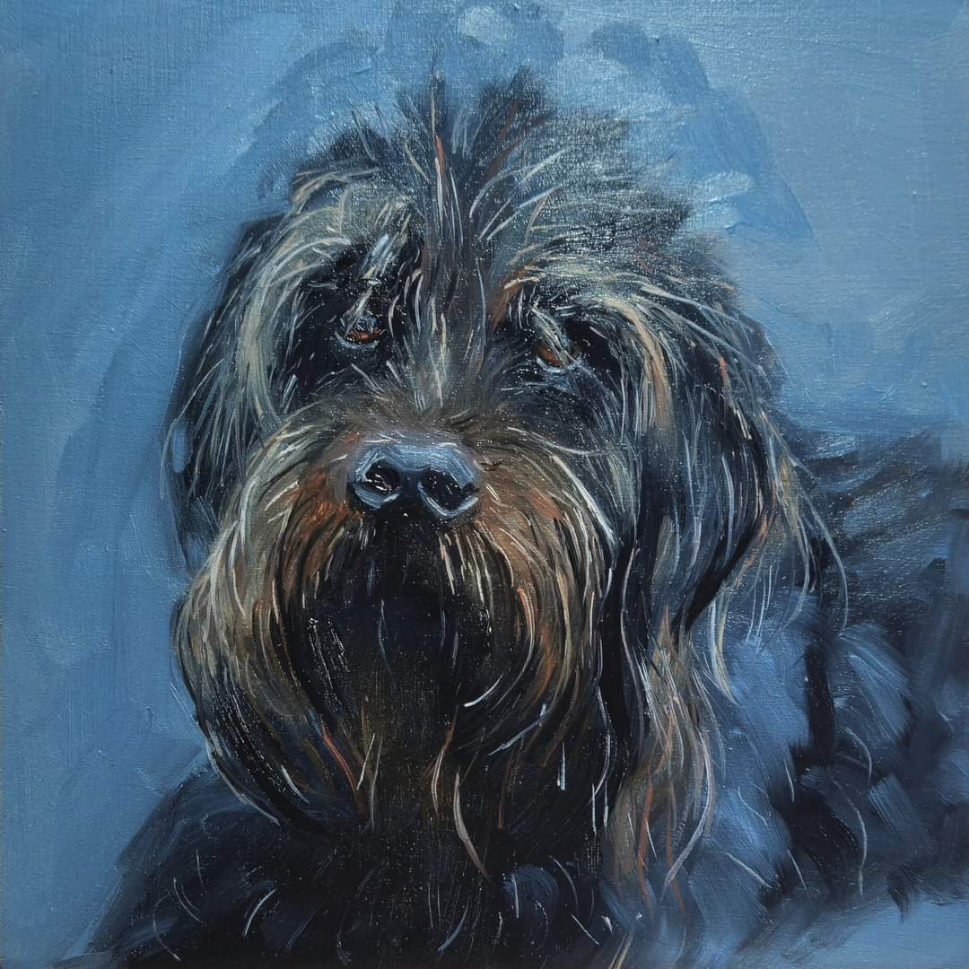 King Eric — oil on panel, close-up portrait of a shaggy grey and tan dog against a blue background