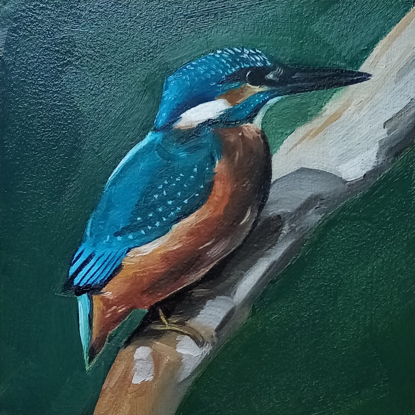 The Magnificent Kingfisher — oil on panel, close-up of a kingfisher perched on a branch against a deep green background