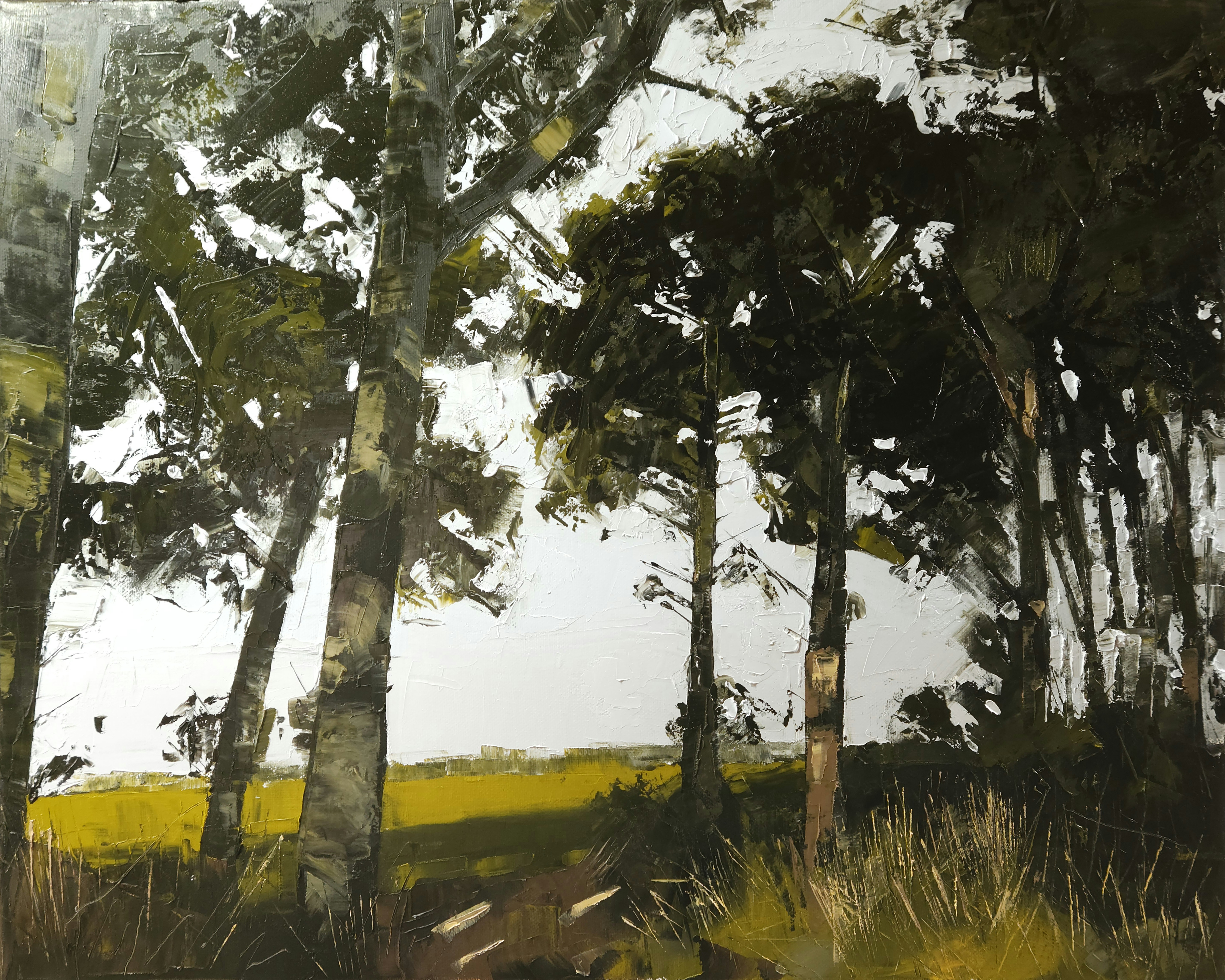 Pod of Trees — oil on canvas, cluster of tall tree trunks silhouetted against a bright sky with a golden field beyond