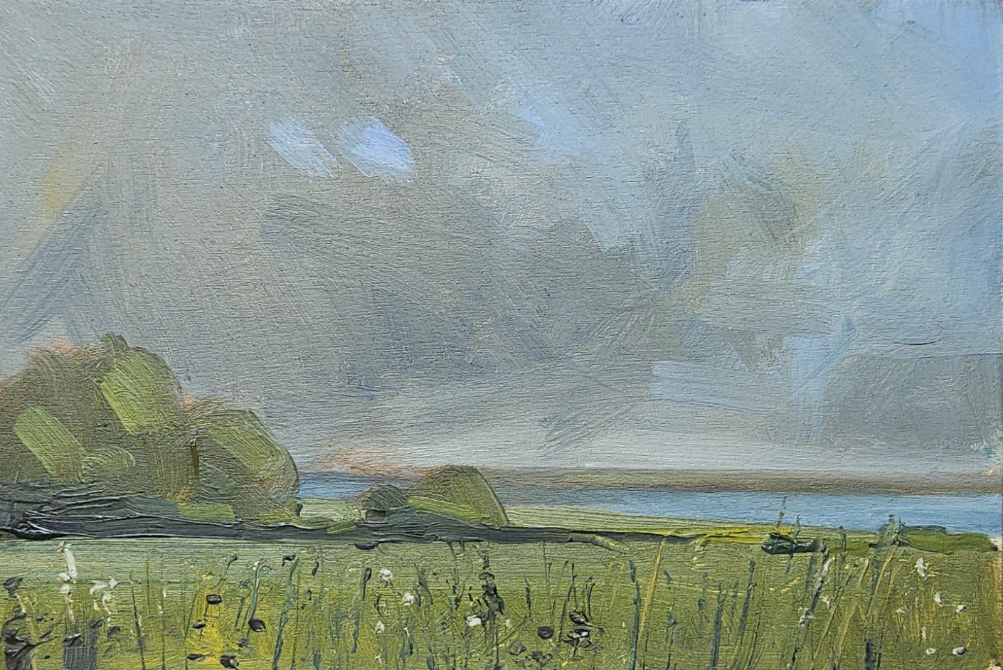 Riverside Meadow — small oil study of a wildflower meadow beside a river under a soft grey sky