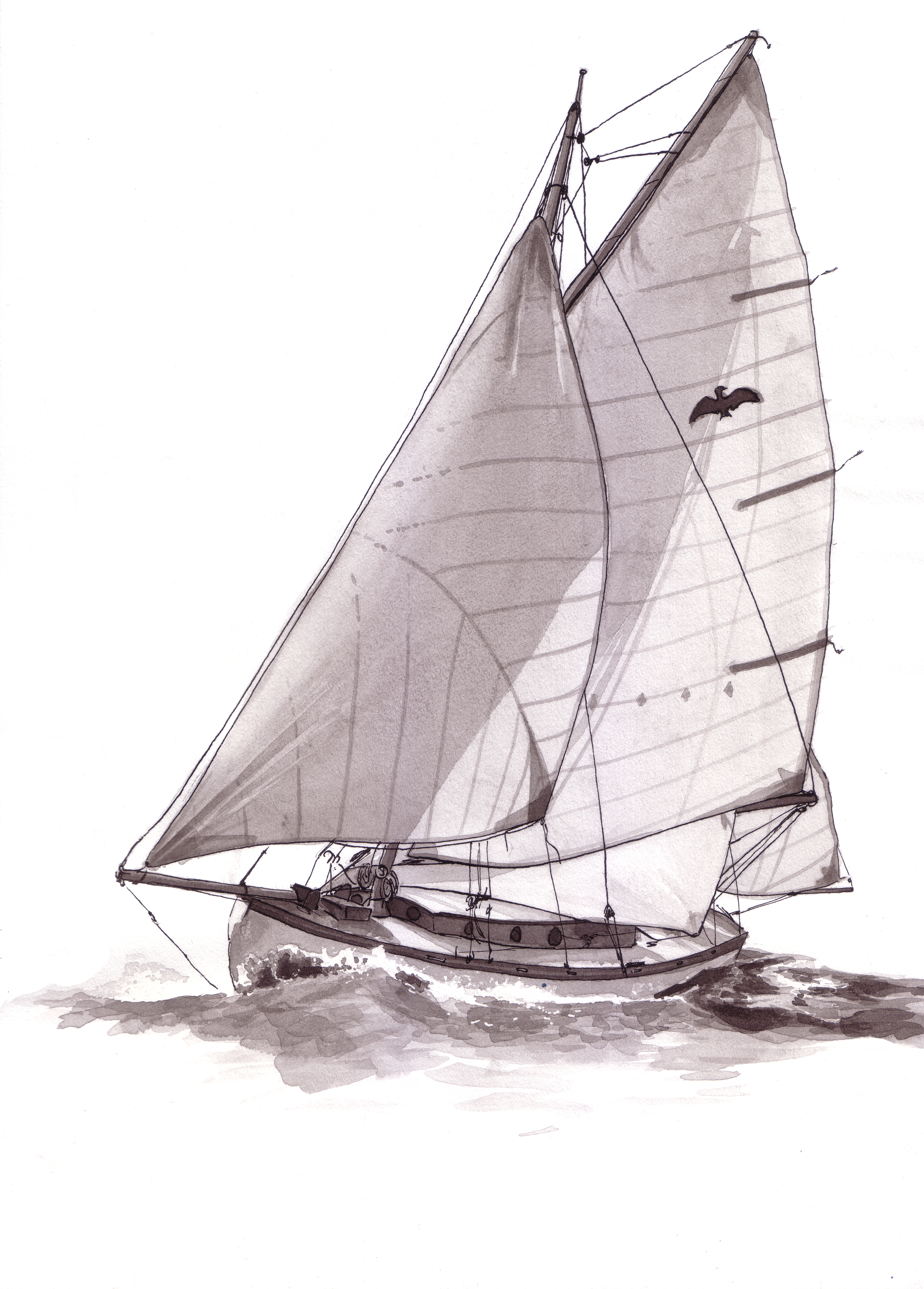 Sailing boat drawing — pen and ink wash, gaff-rigged sailing boat heeling under full sail