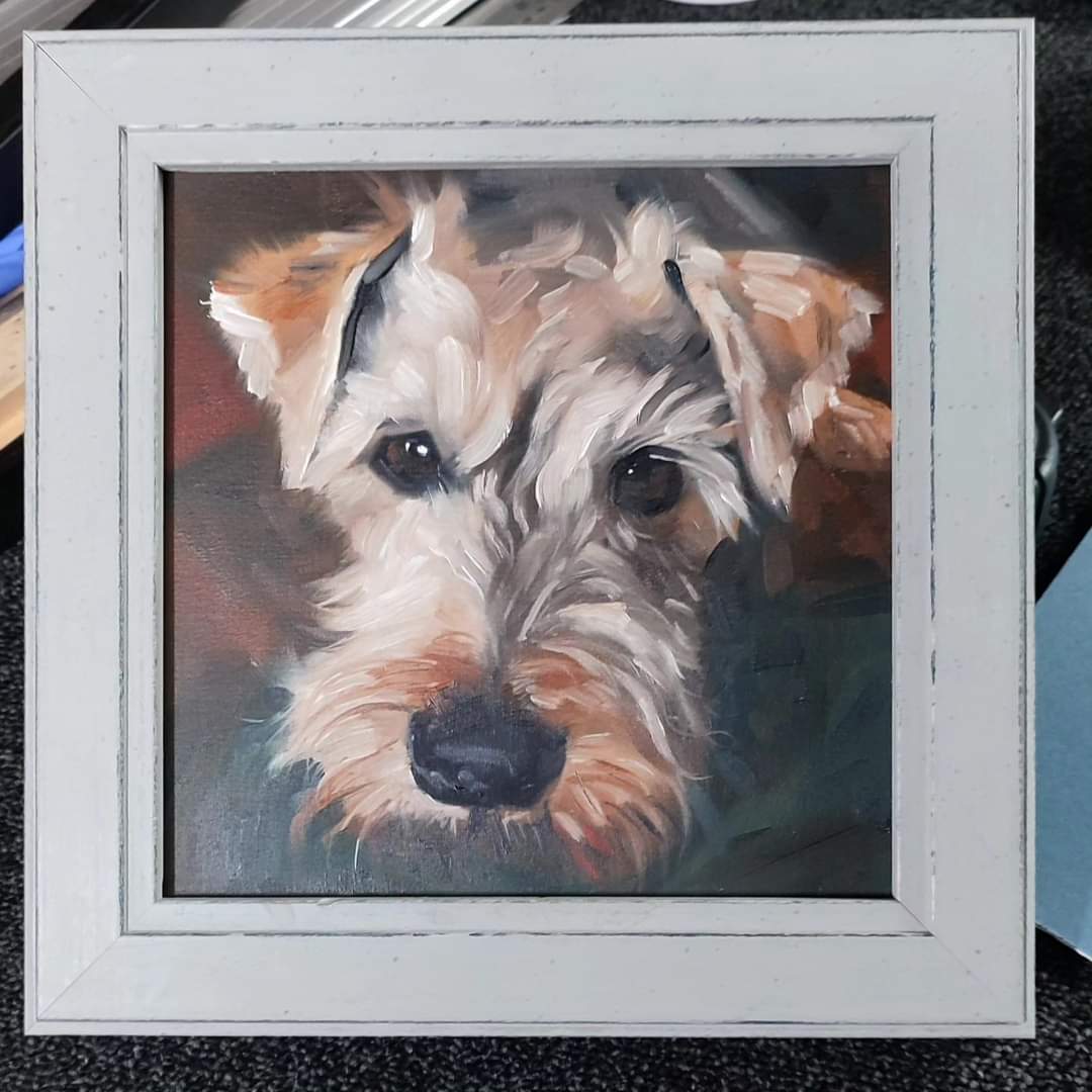Ted — oil on panel, close-up portrait of a wire-haired terrier with soulful brown eyes